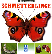 schmetterlinge cover