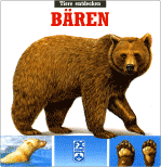 baeren