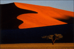 innenlayout paradies li